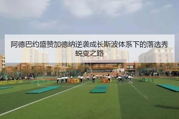 阿德巴约盛赞加德纳逆袭成长斯波体系下的落选秀蜕变之路